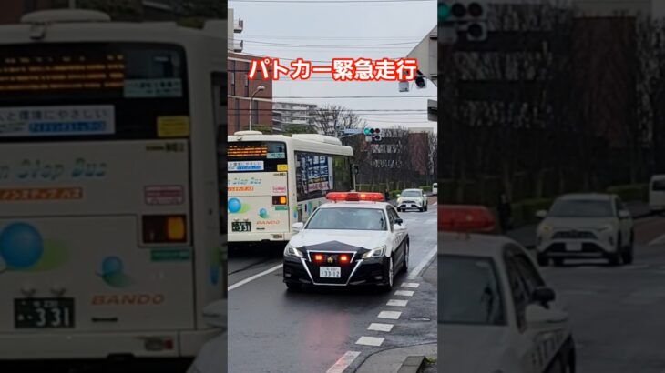 【緊走‼️】パトカー緊急走行で現場へ‼️