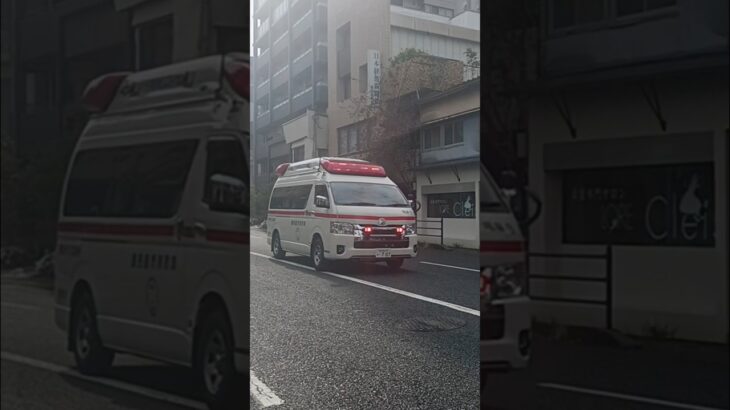 【緊急走行】救急搬送!鹿児島市消防局南林寺救急隊