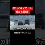 覆面パトカー vs 速いアルファード‼️ #shorts