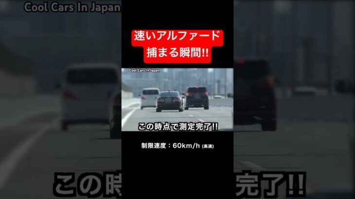 覆面パトカー vs 速いアルファード‼️ #shorts