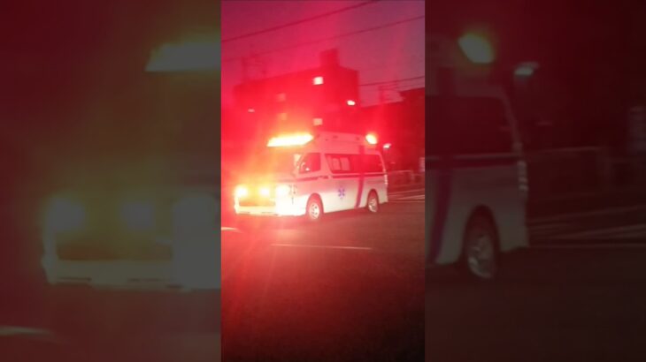 【緊急走行】南さつま市消防本部南消救急1　鹿児島市消防局西本署非常用救急隊（松元救急代車運用中）