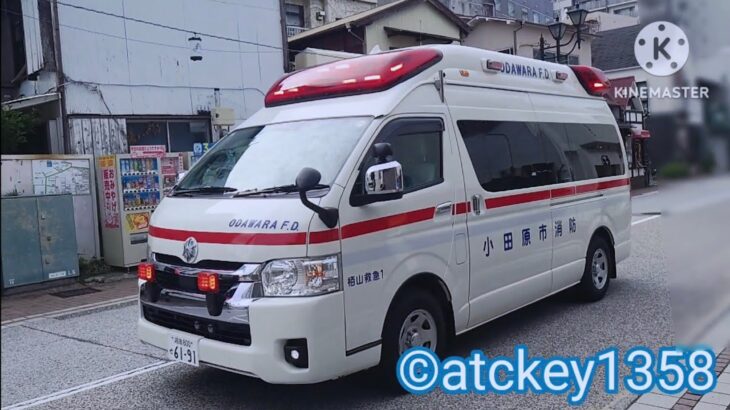 アクティビーコン 🚨ハイパーモードで緊急走行する小田原市消防本部 栢山第1救急🚑️