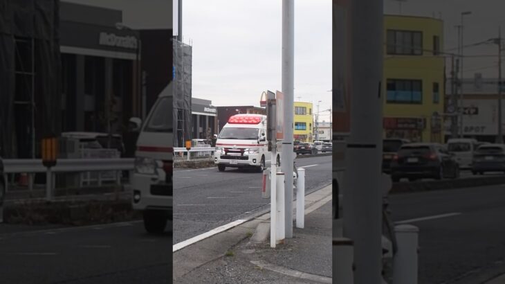 【転戦‼️する救急車】草加八潮消防局　救急車　救急西1。緊急走行シーン！