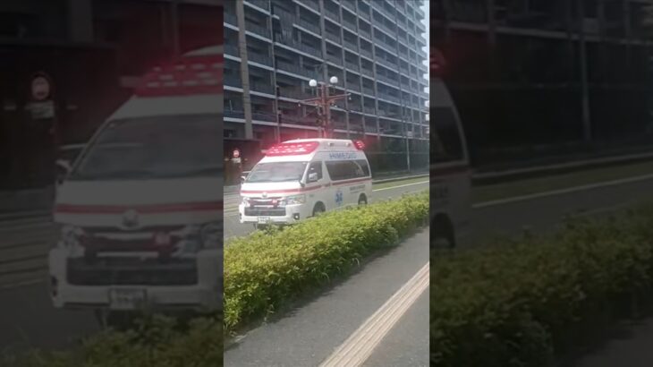 【緊急走行集135】コンフォートサイレン！鹿児島県の救急車