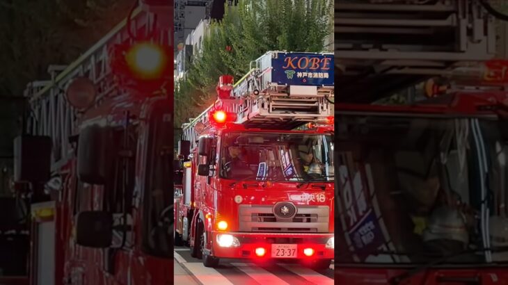 【緊急走行】 中央18、緊急走行！！【神戸市消防局】#shorts  #緊急走行 ＃消防車 #救急車 #emergency #fire #救急車＃サイレン