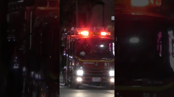 【緊急走行】北夙川1、緊急走行！【西宮市消防局】#shorts  #ショート #消防署 #消防車 #fire #firefighter #サイレン#救急車 #救急 #はしご車