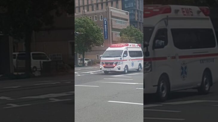 【緊急走行】長距離搬送!枕崎市消防本部救急枕崎2