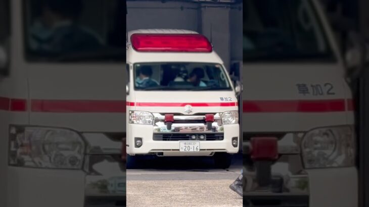 【ハーモニックサイレン🚨】草加八潮消防局　救急車　救急草加2。出場シーン！