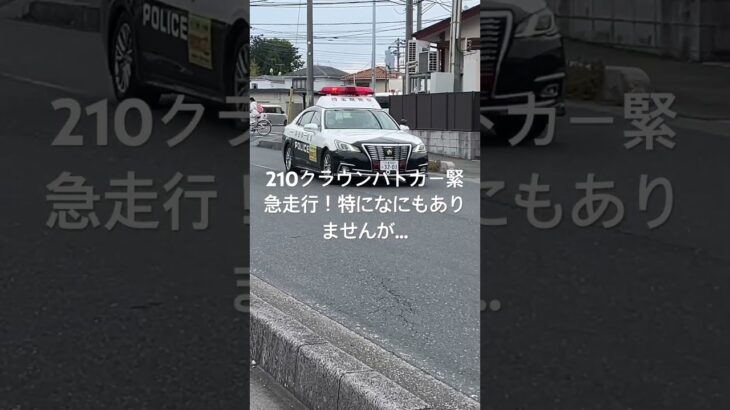 210クラウンパトカー緊急走行