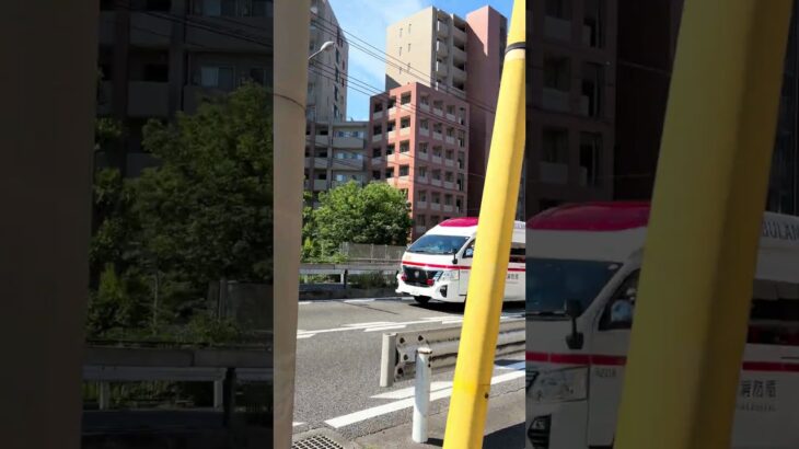 長津田救急国道246号線を通り緊急走行！#横浜消防 #横浜市消防局 #マイナ救急#救急車の適正利用