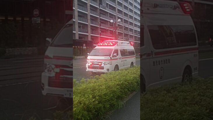 【緊急走行】3分間で3台の救急車が搬送!鹿児島市消防局西本署救急隊