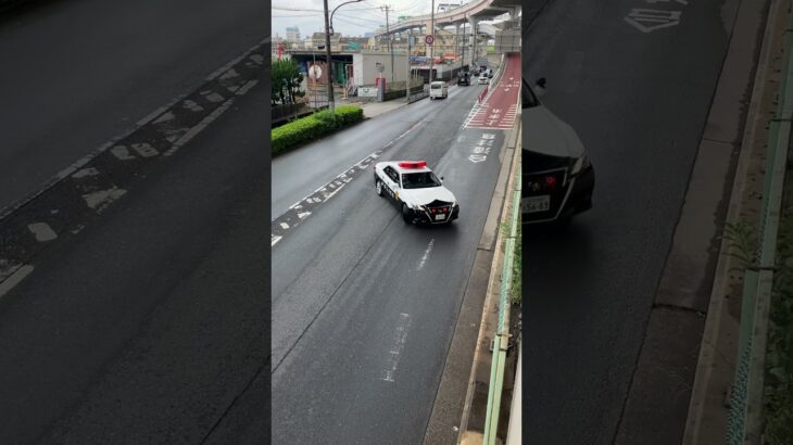 警視庁第4交通機動隊パトカー緊急走行(4公機225)