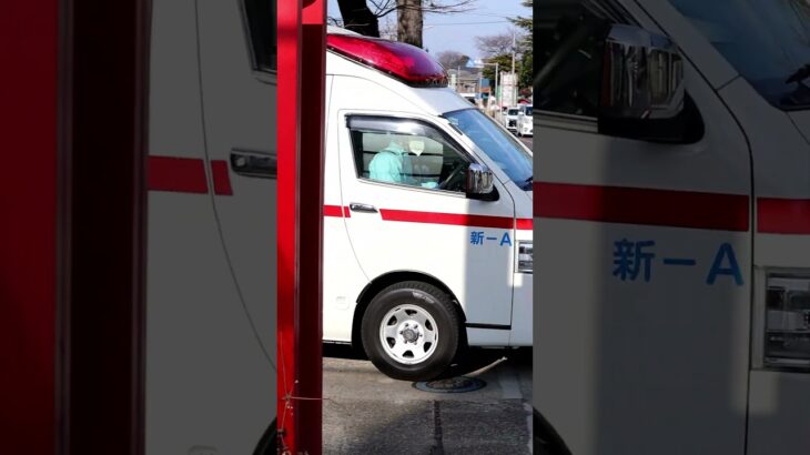 新座-A　緊急出動　一般救急　#緊急車両#緊急出動#救急車