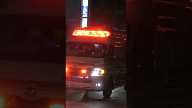 【緊急走行】 特別救急隊、救急指令！A251緊急走行！！【堺市消防局】#shorts  #緊急走行 ＃消防車 #救急車 #emergency #fire #救急車＃サイレン