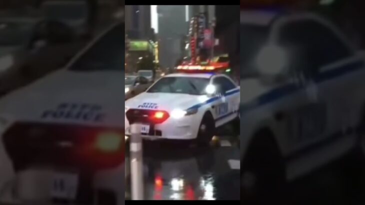 【パトカー】④Global Police Car Face-off! The Pride and Power of Emergency Pursuits （各国のプライドをかけた緊急走行）