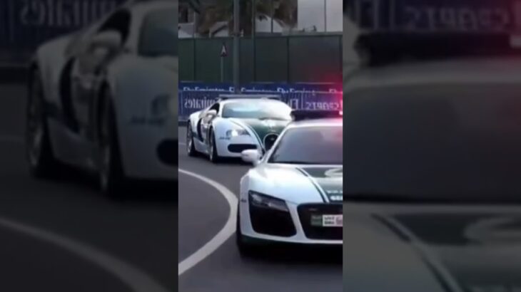 【パトカー】③Global Police Car Face-off! The Pride and Power of Emergency Pursuits （各国のプライドをかけた緊急走行）