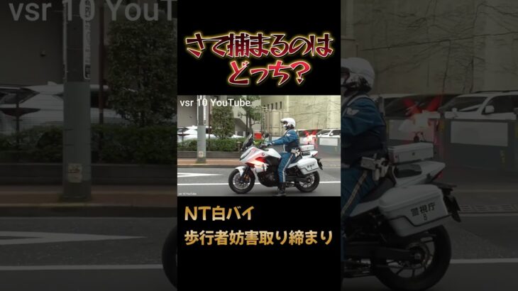 さて捕まるのはどっち?NT白バイが緊急走行で追走した車両とは?