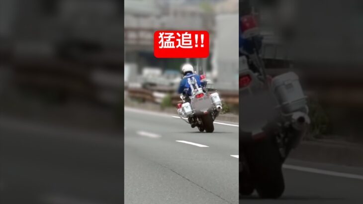 【猛追‼️】白バイが速度違反のワゴンRを検挙‼️ #shorts