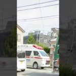 TCDサイレンを鳴らし緊急走行 アクティビーコン搭載ハイメディック救急車【本町救急隊・藤沢市消防局】