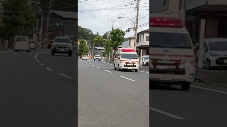 TCDサイレンを鳴らし緊急走行 アクティビーコン搭載ハイメディック救急車【西部救急隊・藤沢市消防局】