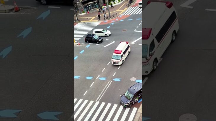 【東京消防庁】緊迫の四谷三丁目交差点！救急車が緊急走行で現場へ急行 Tokyo Fire Department Ambulance Responding to Emergency in Yotsuya