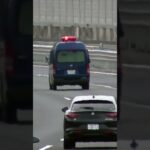 🚨警察車両🚨赤色灯🚨 #パトカー #警察車両 #short #shorts #shortvideo