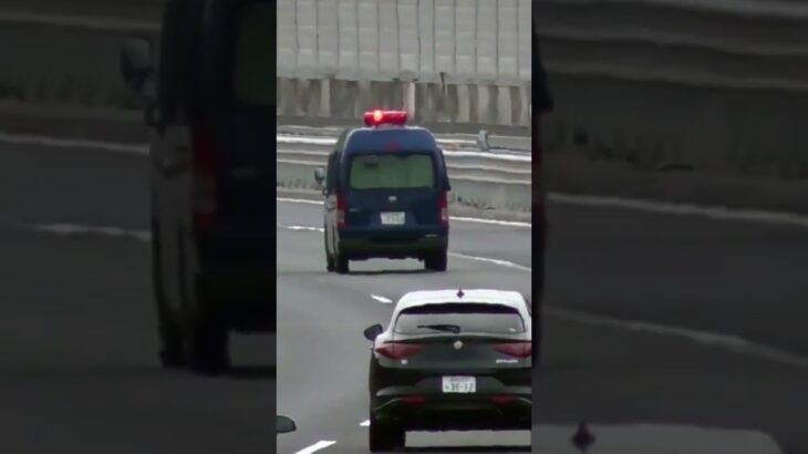 🚨警察車両🚨赤色灯🚨 #パトカー #警察車両 #short #shorts #shortvideo
