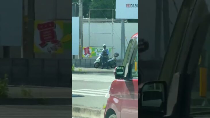 🫡🫡交差点を見張る警察官🫡🫡 #警察官 #兵庫県警 #short #shorts #shortvideo