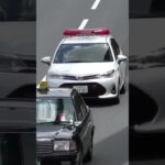 タクシーを煽り気味？😅😅😅血液輸送車🩸 #血液輸送車 #short #shorts #shortvideo #shortsfeed