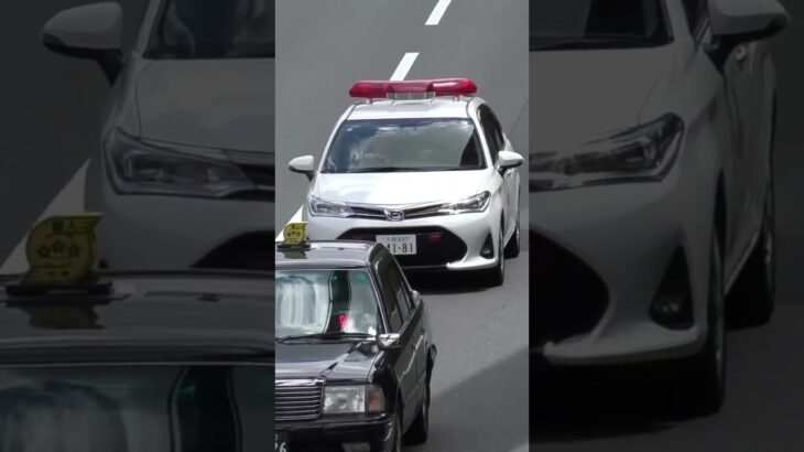 タクシーを煽り気味？😅😅😅血液輸送車🩸 #血液輸送車 #short #shorts #shortvideo #shortsfeed