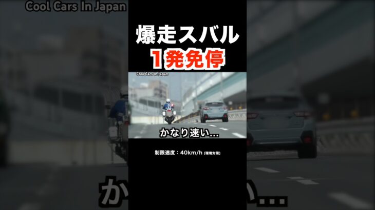 爆走スバルが白バイに捕まる‼️ １発免停‼️ #shorts
