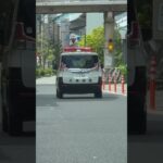 🚨パトカー🚨パトロール🚨赤色灯🚨兵庫県警🚨 #パトカー #赤色灯 #shorts #short