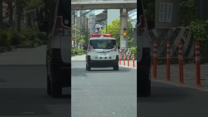 🚨パトカー🚨パトロール🚨赤色灯🚨兵庫県警🚨 #パトカー #赤色灯 #shorts #short