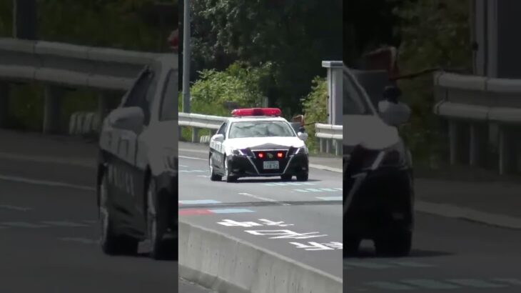 🚨高速道路にパトカー🚨赤色灯🚨兵庫県警🚨 #パトカー #兵庫県警 #赤色灯 #shorts #short #shortvideo
