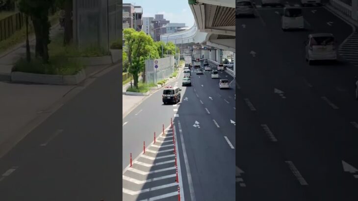 🚨赤色灯🚨警察車両🚨走行動画🚨兵庫県警🚨 #パトカー #警察車両 #兵庫県警 #shorts #short #shortvideo
