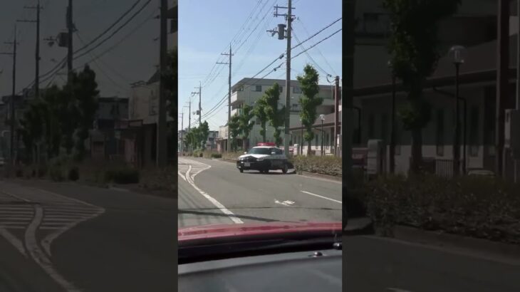 🚨パトカー🚨赤色灯🚨ミニパト🚨兵庫県警🚨 #パトカー #赤色灯 #ミニパト #兵庫県警 #shorts #short #shortvideo #shortsfeed
