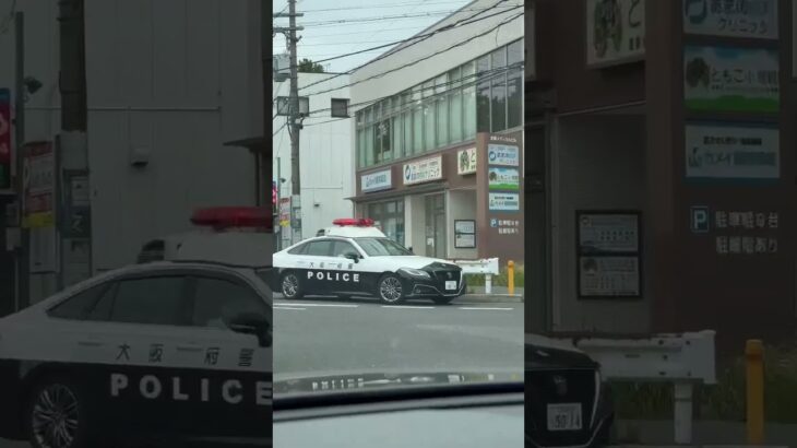 🚨パトカー🚨赤色灯🚨大阪府警🚨パトロール🚨 #パトカー #赤色灯 #大阪府警 #shorts #shortvideo