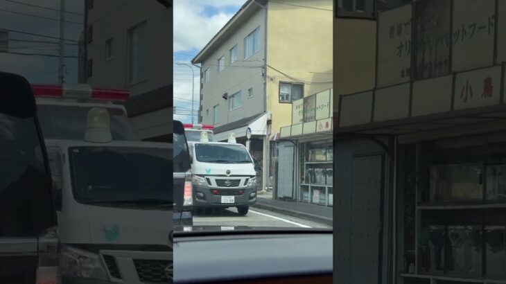 🚨警察車両🚨赤色灯🚨兵庫県警🚨 #警察車両 #パトカー #shorts #shortvideo
