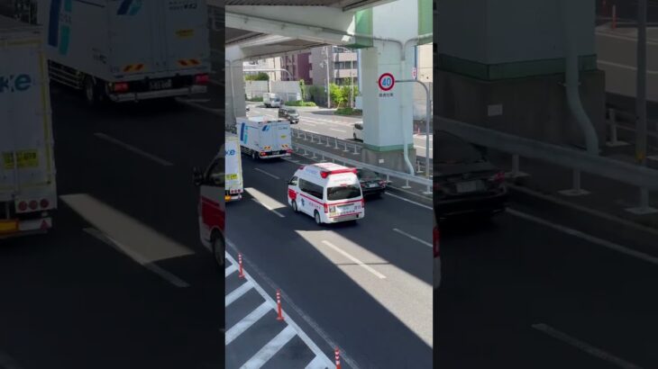 🚨救急車🚨緊急走行🚨響き渡るサイレン🚨 #救急車 #緊急走行 #shorts #shortvideo