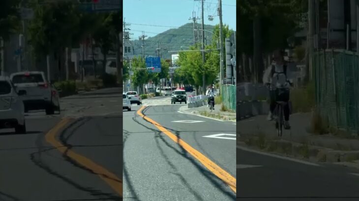 🚨パトカー🚨赤色灯🚨パトロール🚨ミニパト🚨兵庫県警🚨 #パトカー #赤色灯 #兵庫県警 #shorts #shortvideo #short