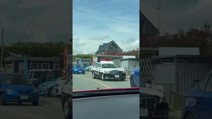 🚨パトカー🚨兵庫県警🚨パトロール🚨 #パトカー #兵庫県警 #shorts #shortvideo #short #shortsfeed