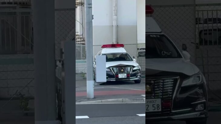 🚨パトカー🚨大阪府警🚨 #パトカー #大阪府警 #shorts #shortvideo #shortsfeed #short
