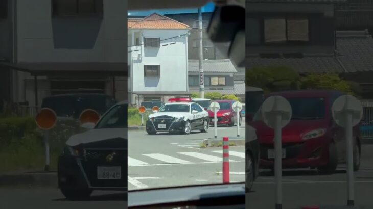 🚨パトカー🚨パトロール🚨兵庫県警🚨 #パトカー #兵庫県警 #shorts #shortvideo #shortsfeed #short