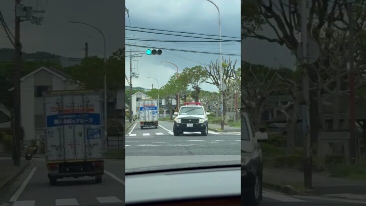 😳😳😳激レアなパトカーが走ってた😳😳😳 #パトカー #兵藤県警 #shorts #shortvideo #shortsfeed #short