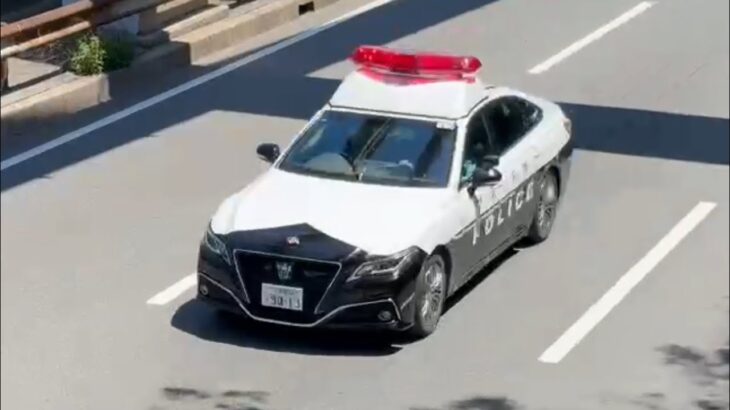 🚨パトカー🚨走行動画🚨大阪府警🚨 #パトカー #大阪府警