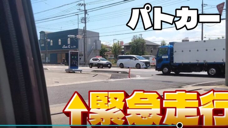事件か　パトカー緊急走行#パトカー #緊急車両 #サイレン #ばずれ #緊急