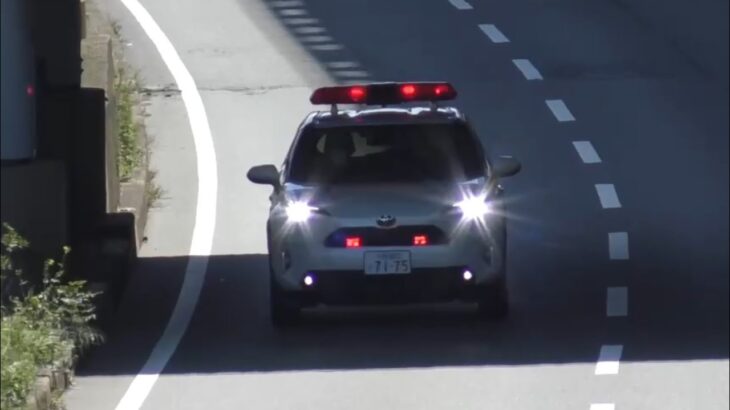 😳😳激レア😳😳血液輸送車の緊急走行🚨🚨響き渡るサイレン🚨🚨 #血液輸送車 #緊急走行 #緊急車両