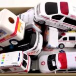救急車ミニカーが坂道を爆走！🚑 サイレン音付き緊急車両レース🔥 子ども向けミニカー動画