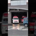 そっから出てくるの?!
