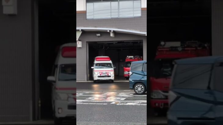 そっから出てくるの?!